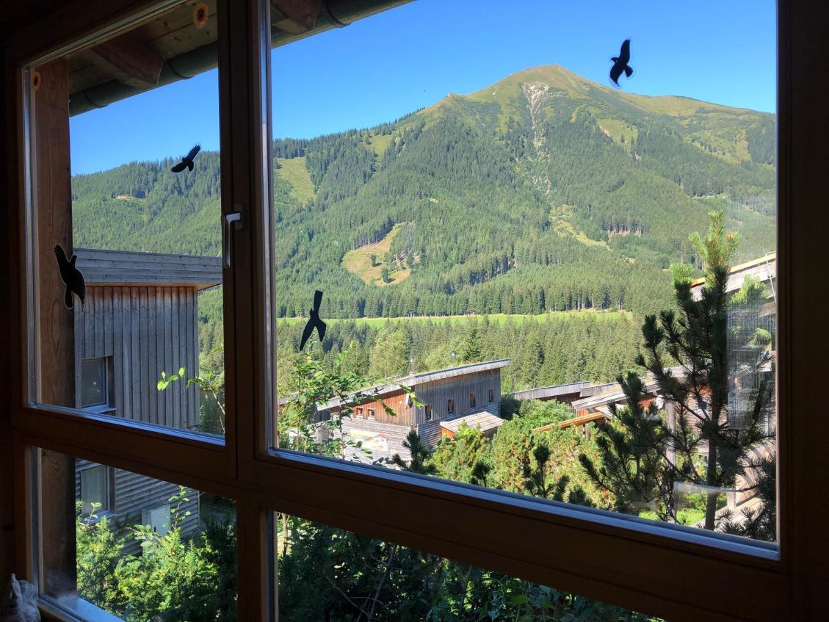 Zirbelhuette Holiday home *